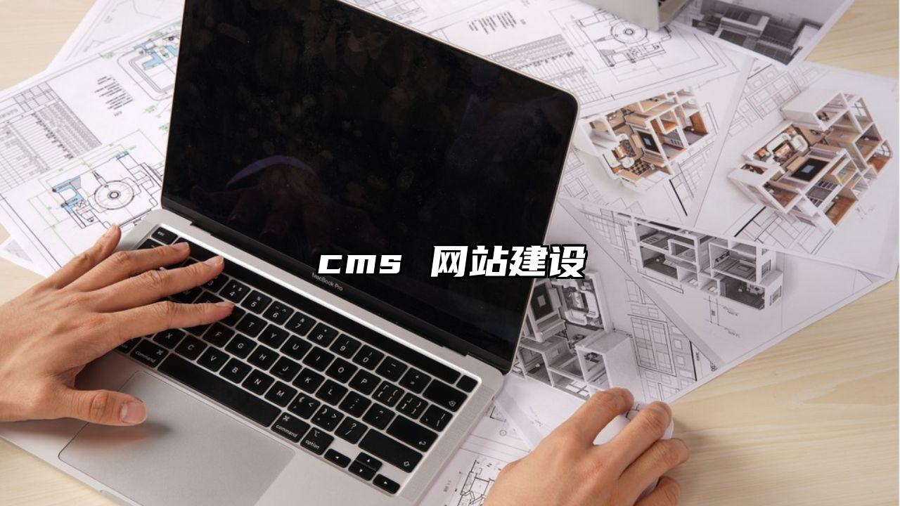 cms 网站建设