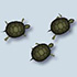 在线养海龟