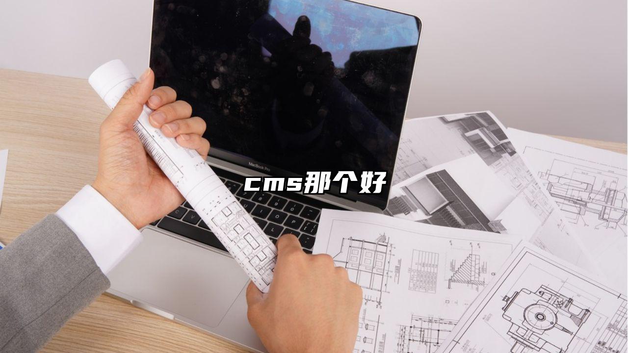 cms那个好